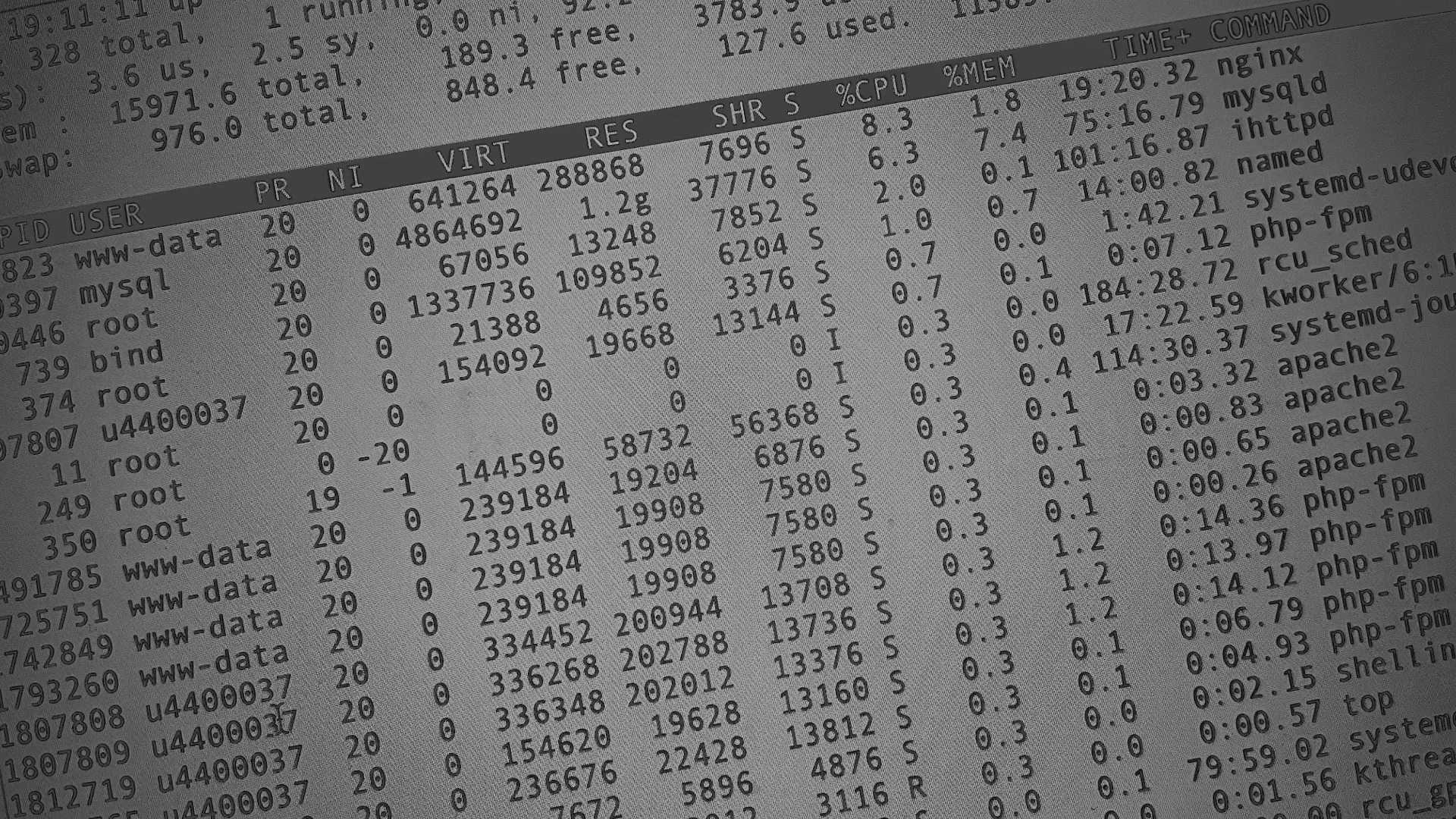 Настройка сервера в Стародубе